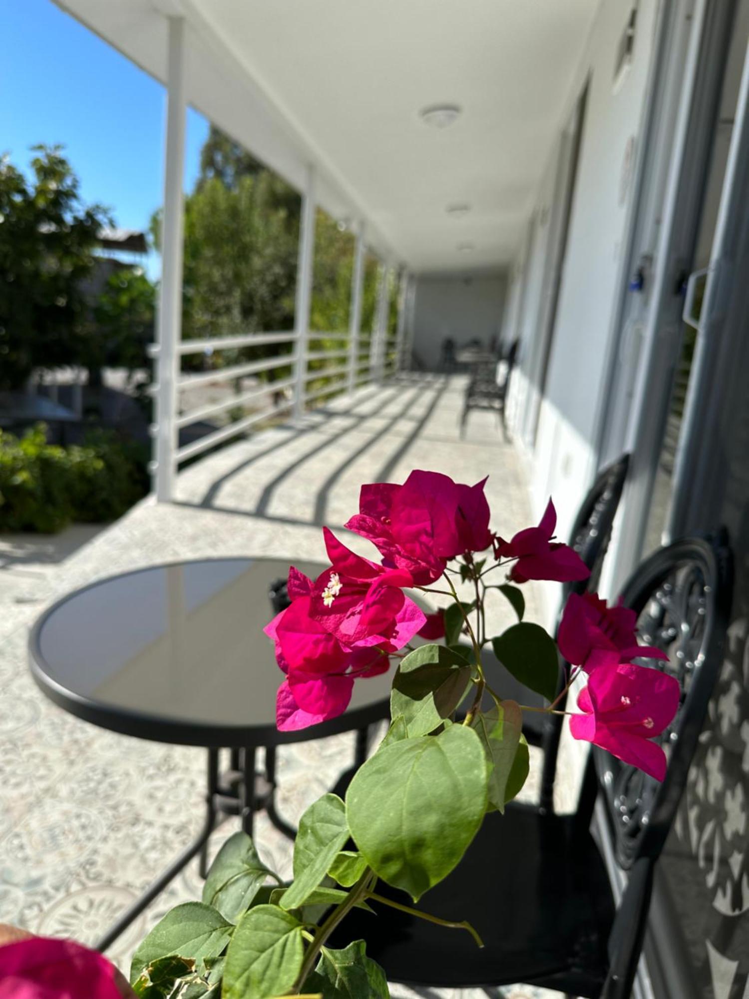 Blue Eye Apartment Dalaman Exterior photo